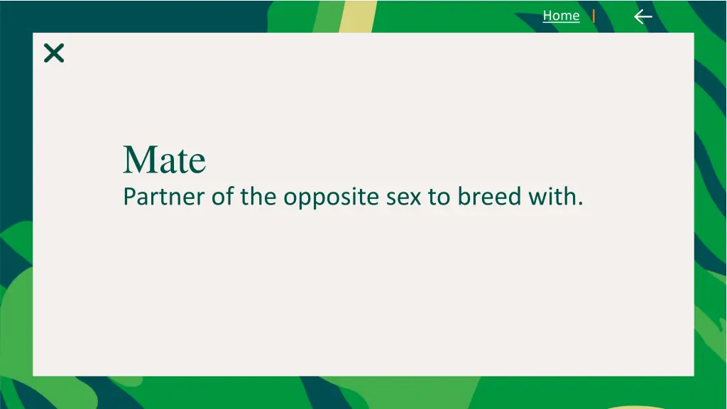 slide7