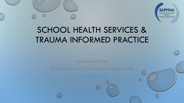 school health services trauma informed practice