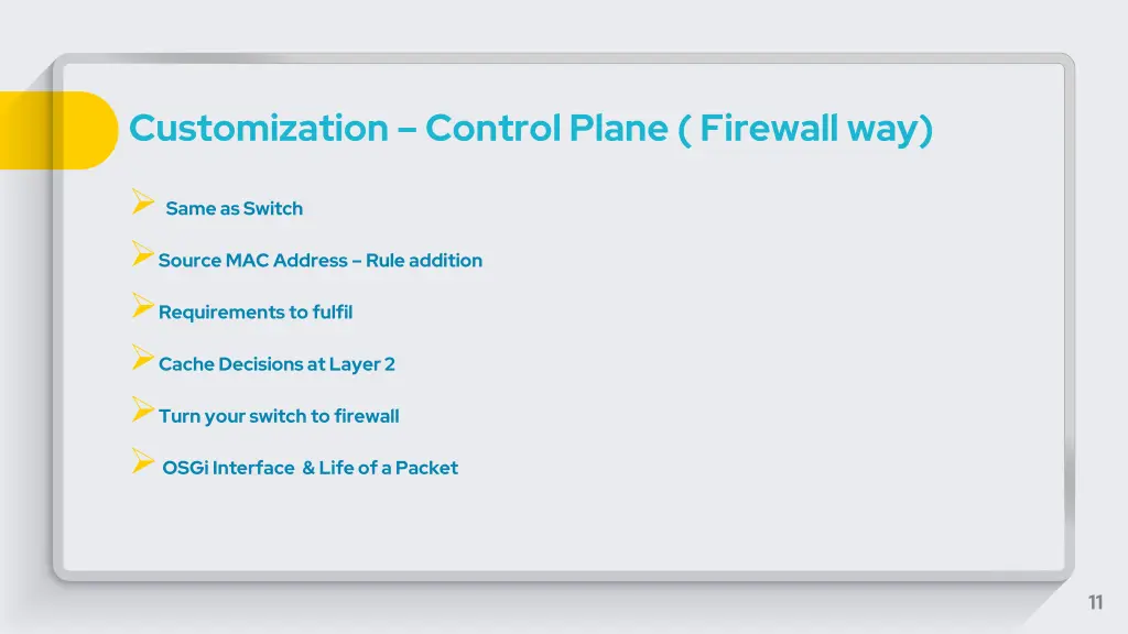 customization control plane firewall way