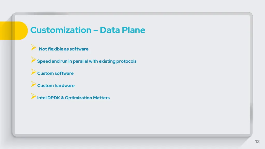 customization data plane