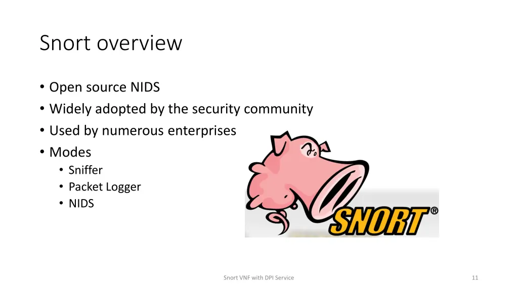 snort overview