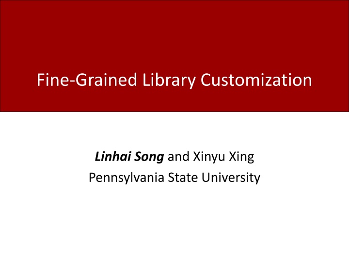 fine grained library customization