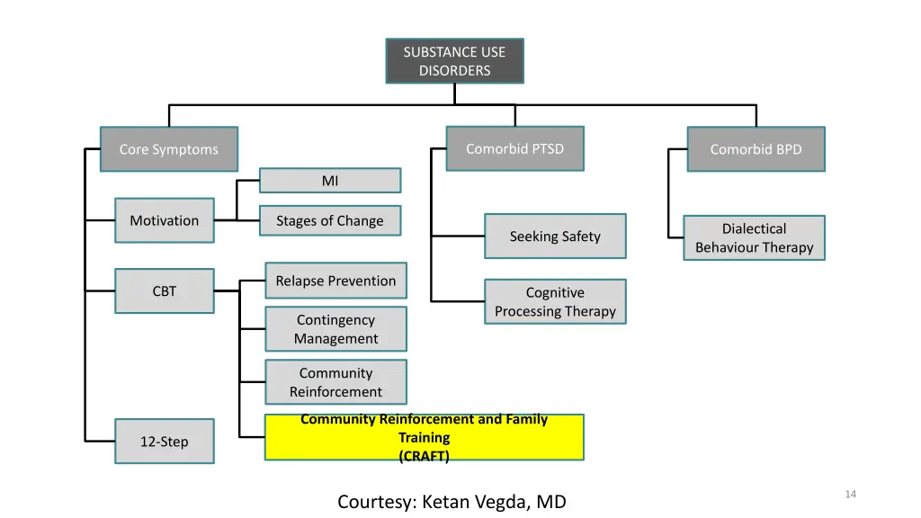 substance use disorders