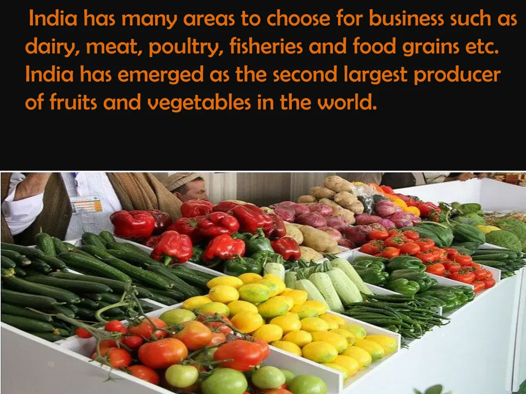 india has many areas to choose for business such