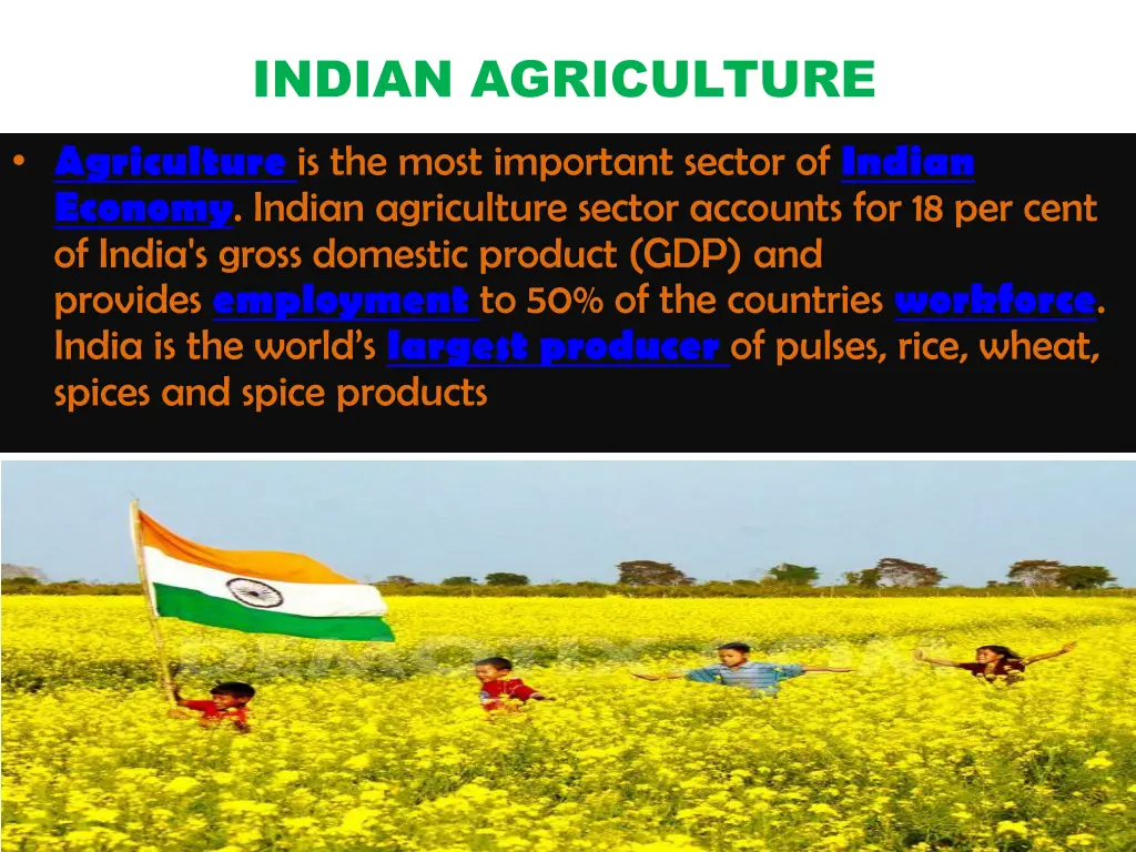 indian agriculture