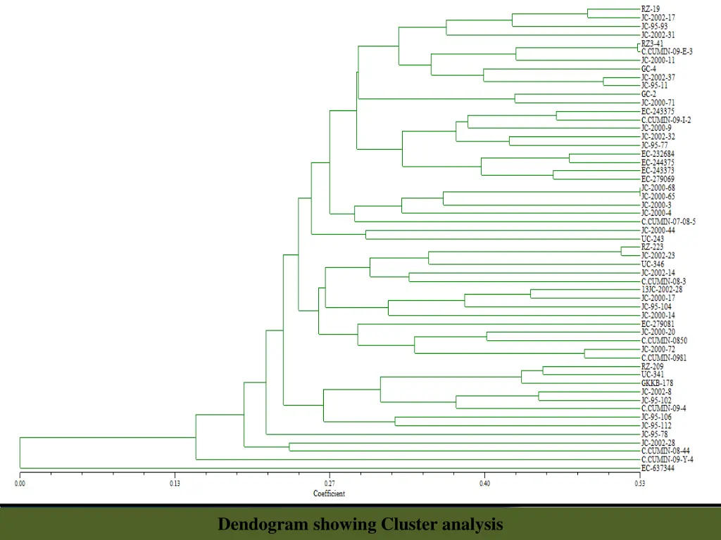 dendogram showing cluster analysis