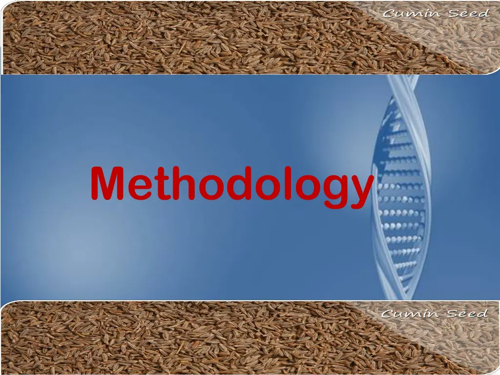 methodology