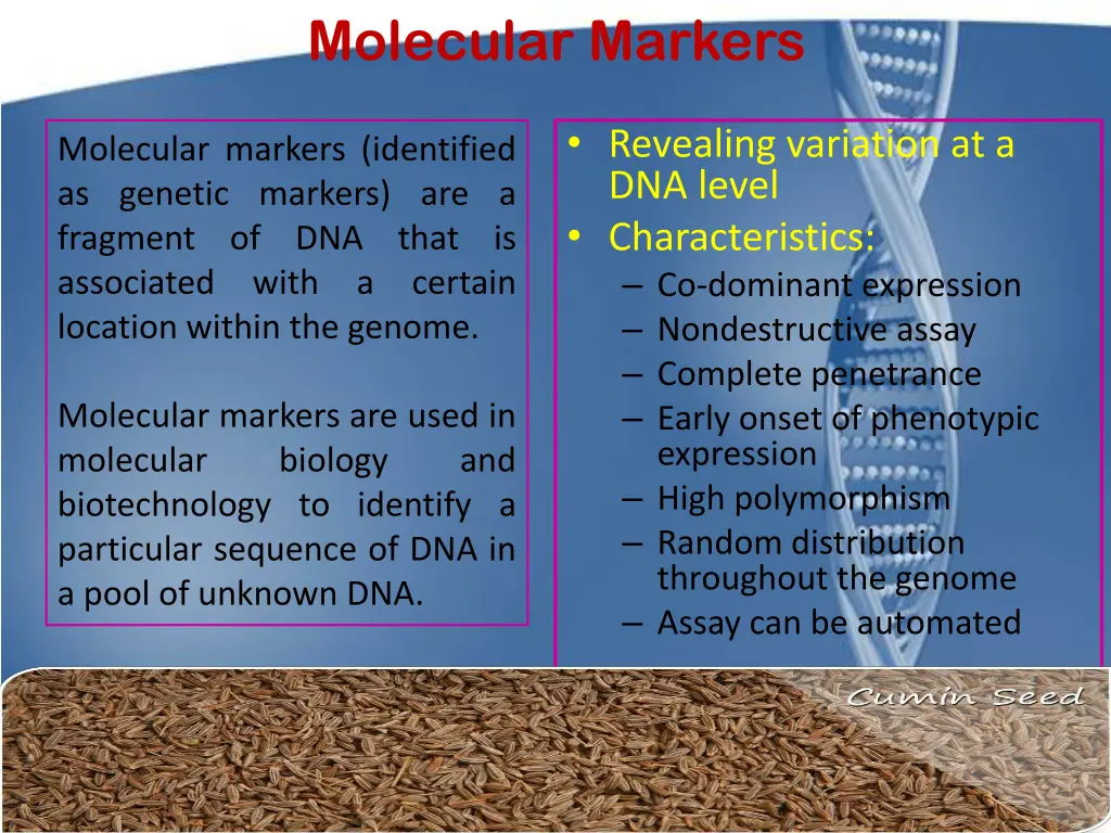 molecular markers