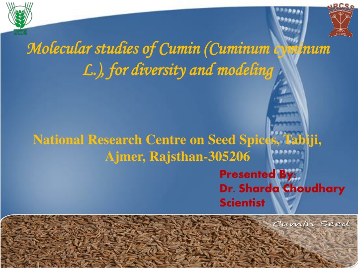 molecular studies of cumin molecular studies