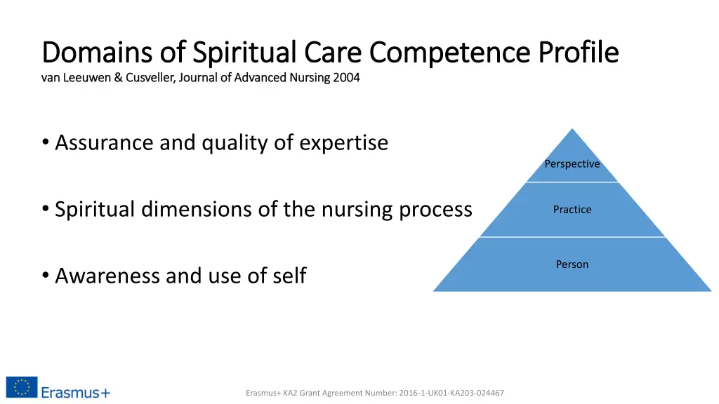 domains of spiritual care competence profile