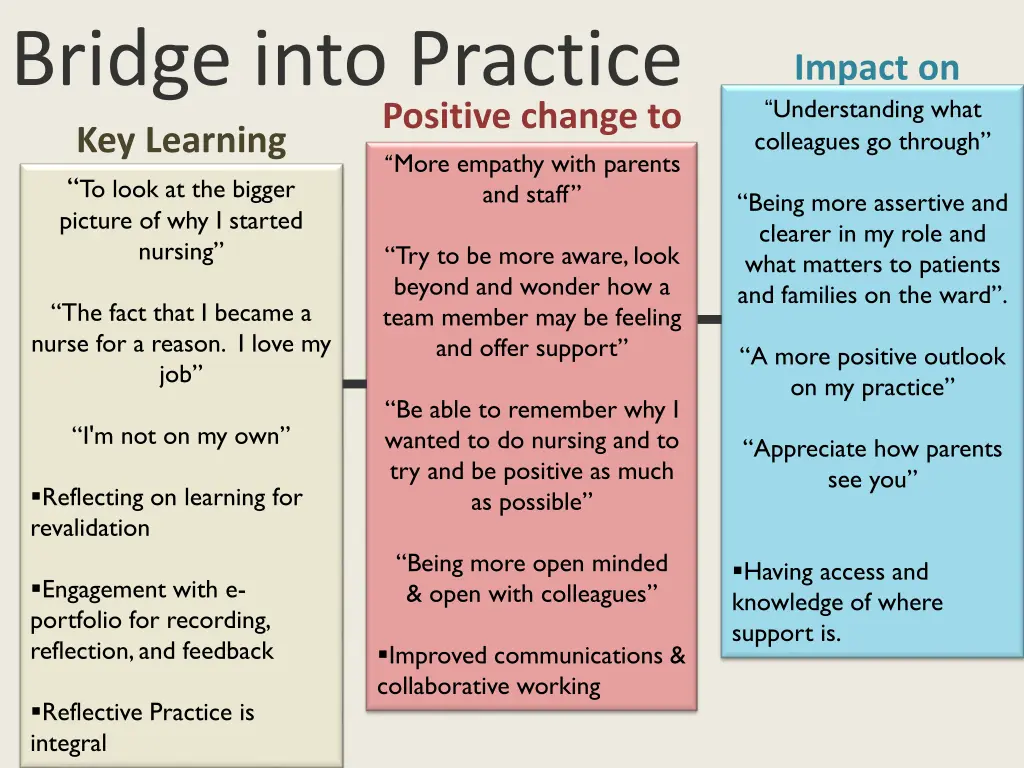 bridge into practice key learning points to look