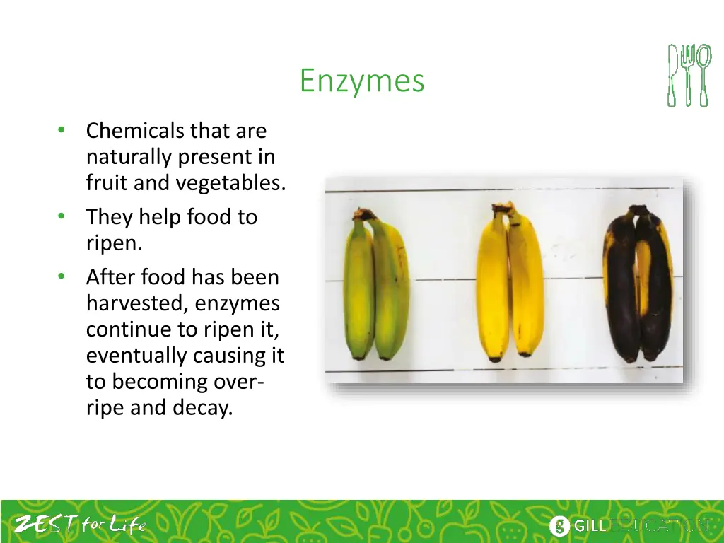 enzymes