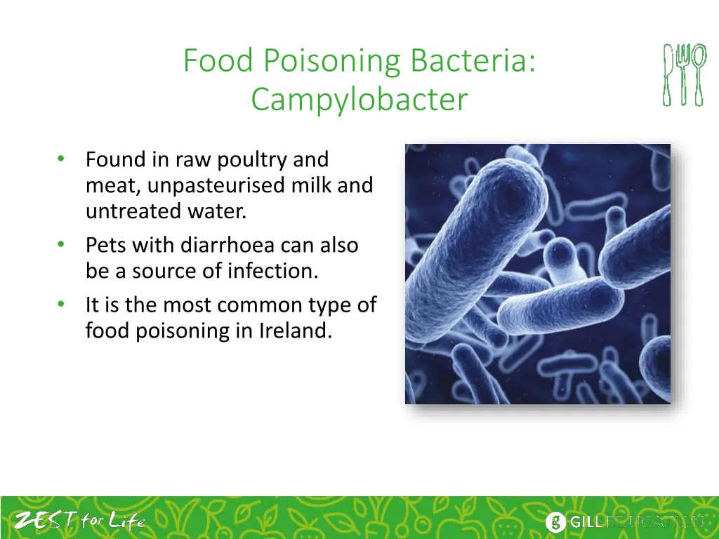 food poisoning bacteria campylobacter