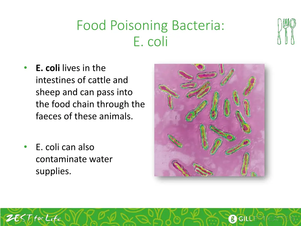 food poisoning bacteria e coli