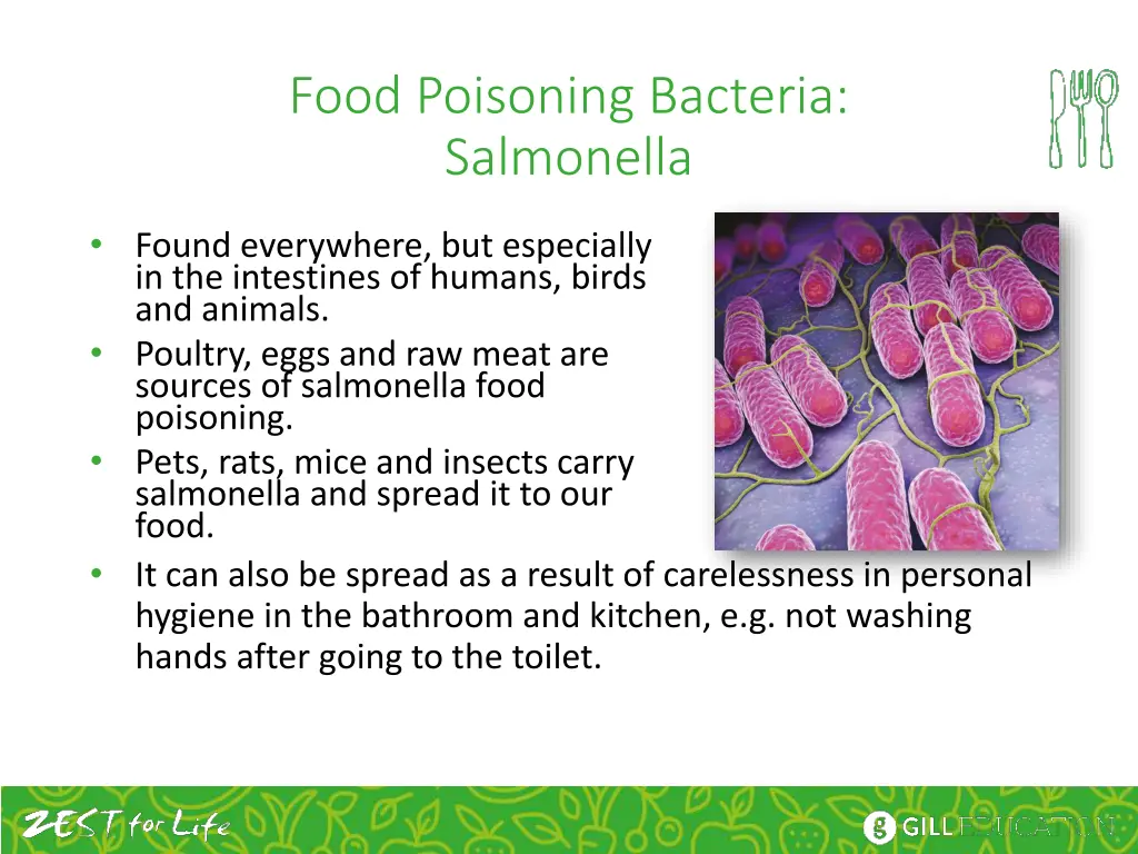 food poisoning bacteria salmonella