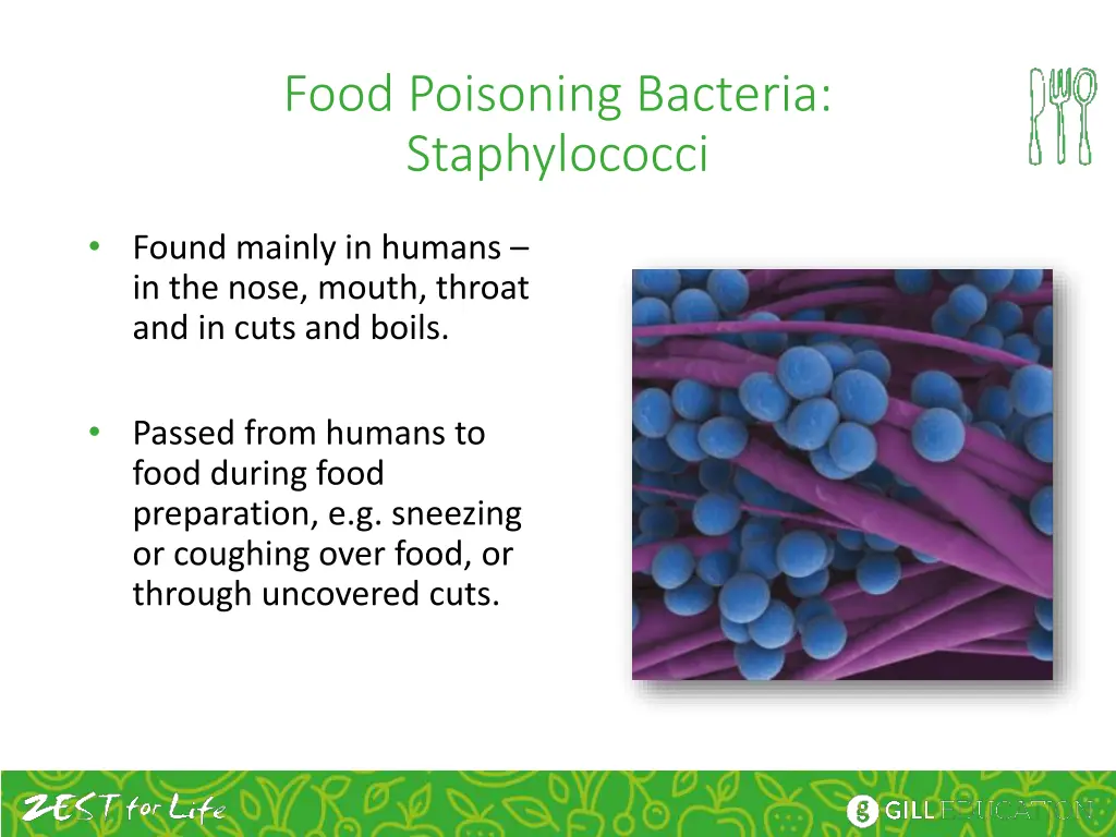 food poisoning bacteria staphylococci