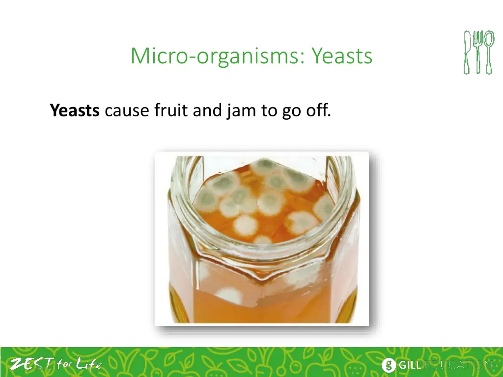 micro organisms yeasts