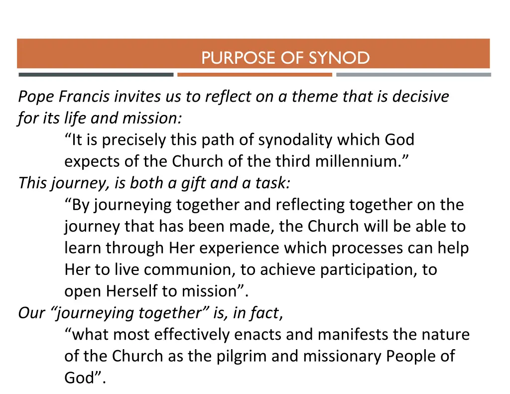 purpose of synod 1