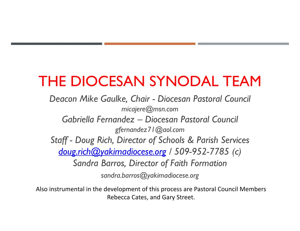 the diocesan synodal team deacon mike gaulke