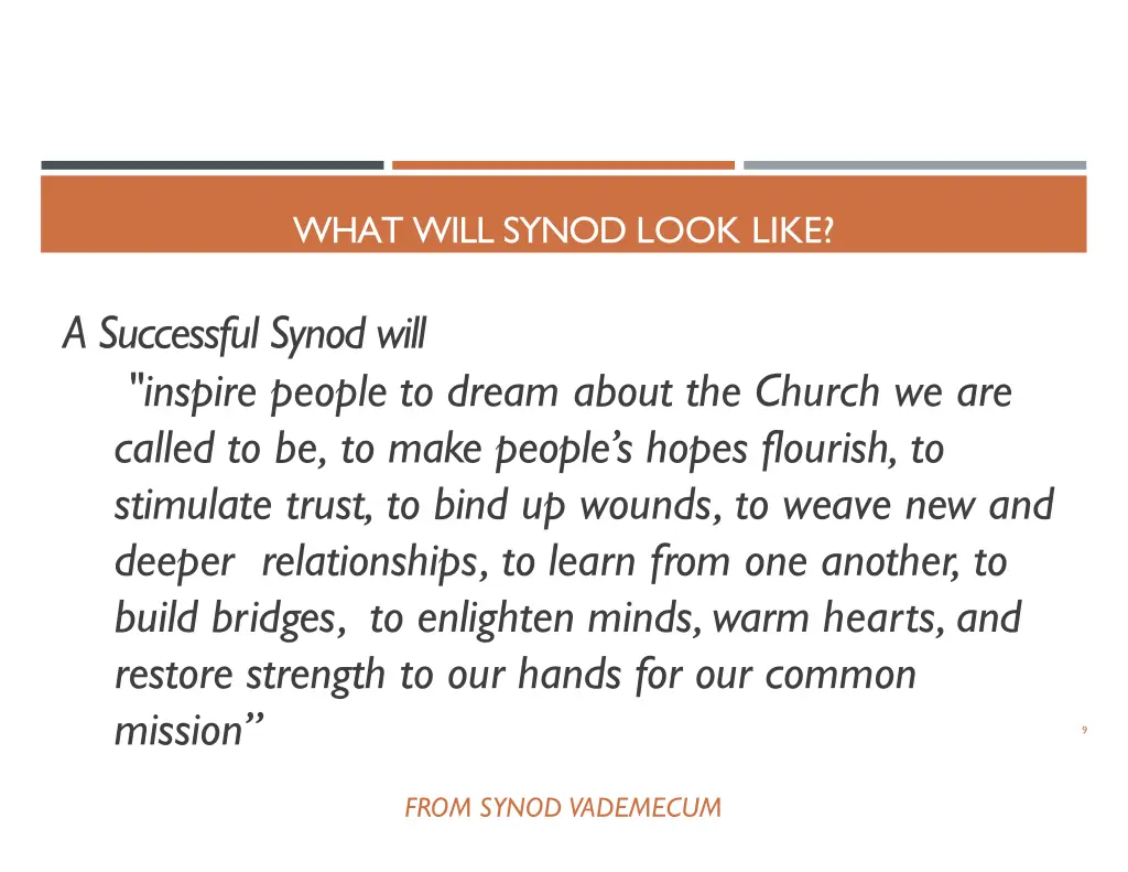 what will synod look like