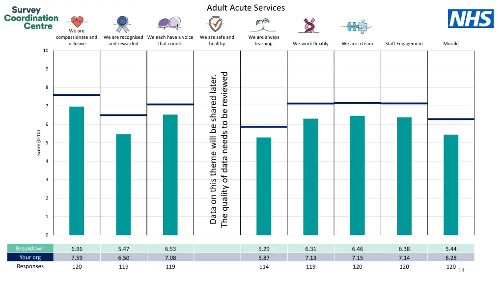 adult acute services