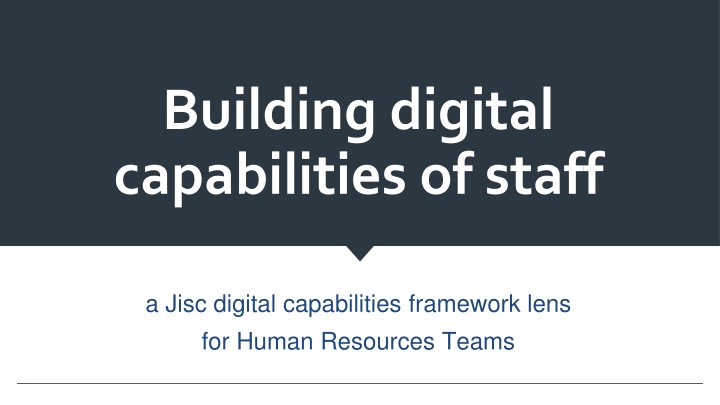 building digital capabilities of staff