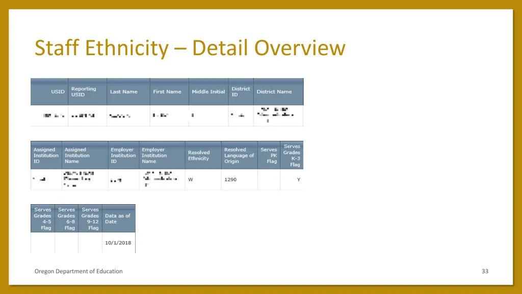 staff ethnicity detail overview