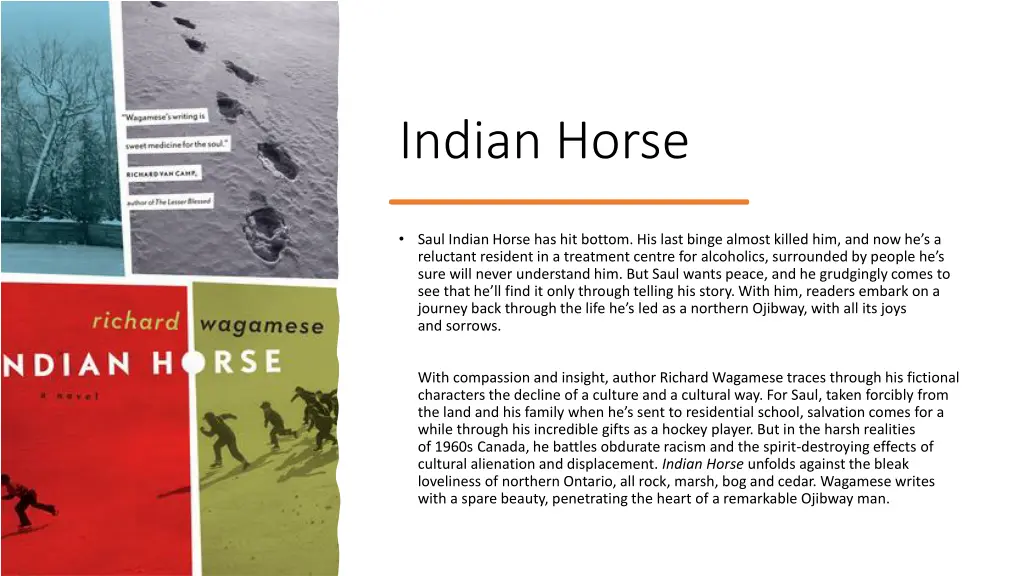 indian horse