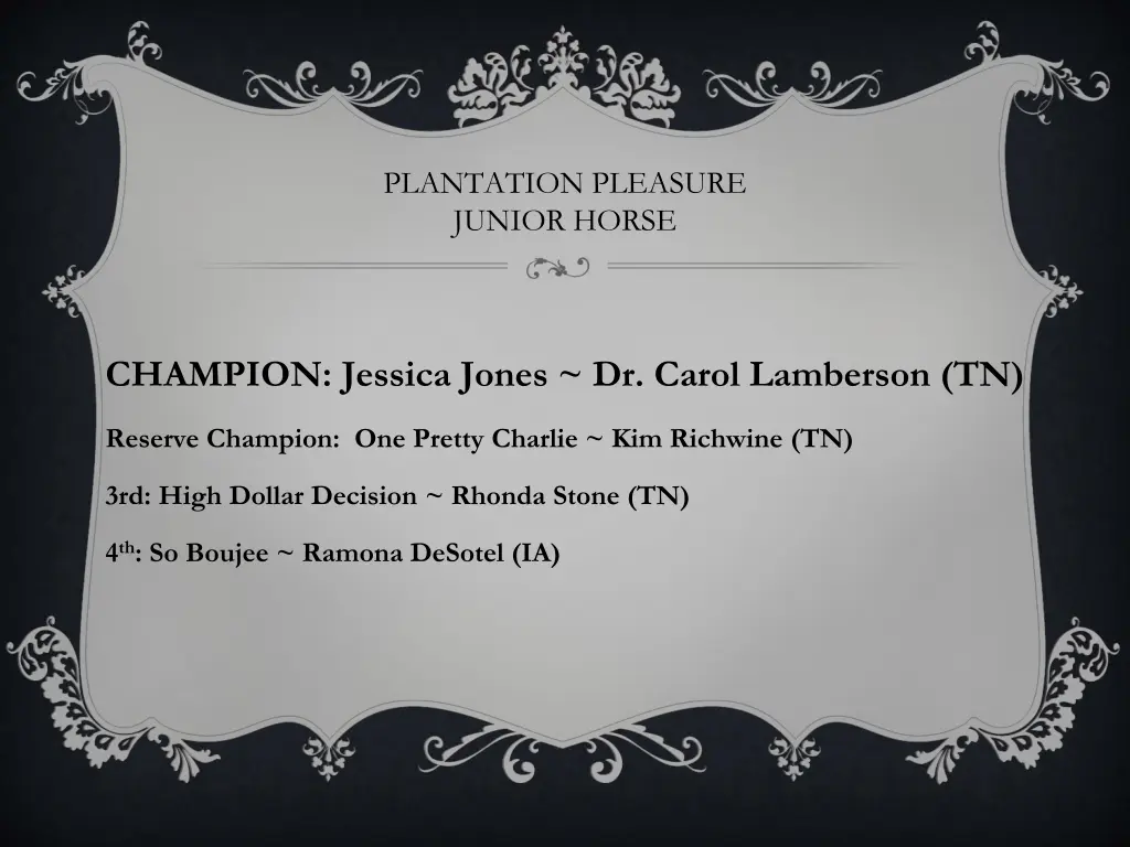 plantation pleasure junior horse