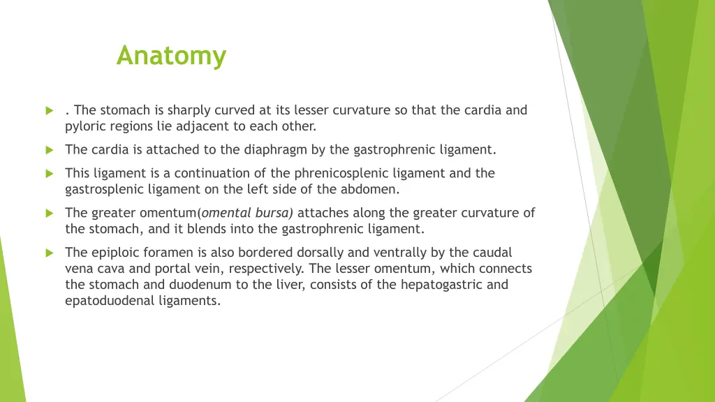 anatomy 1