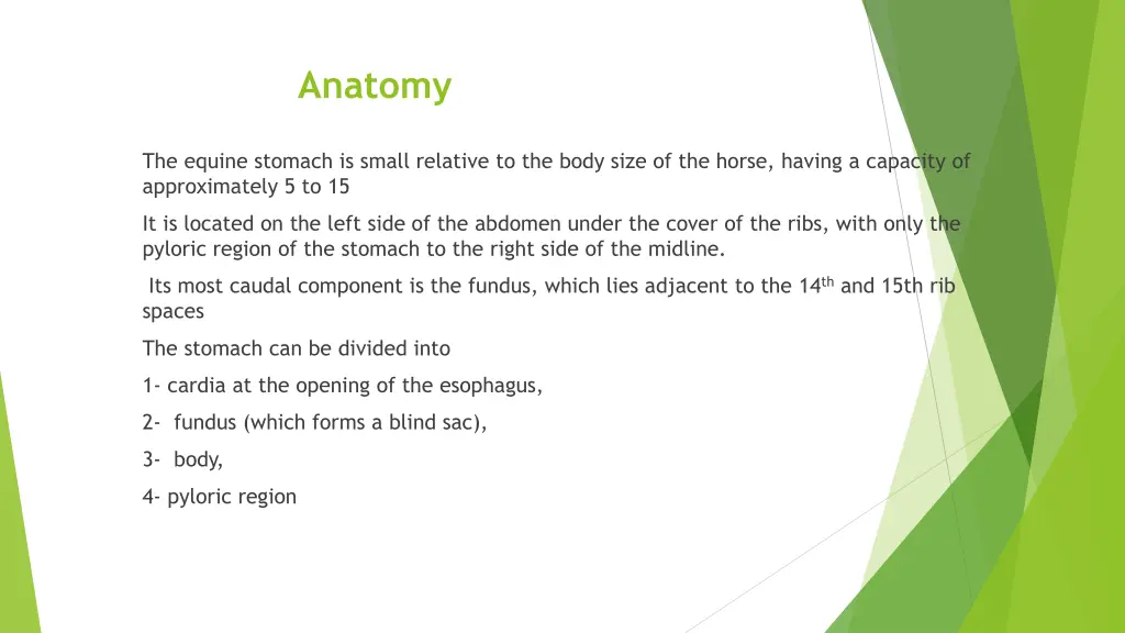 anatomy