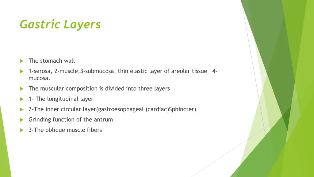 gastric layers