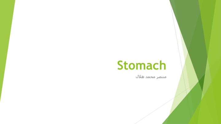 stomach