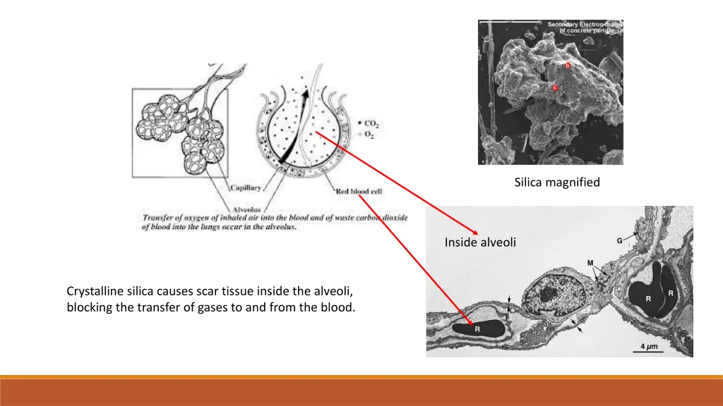 silica magnified