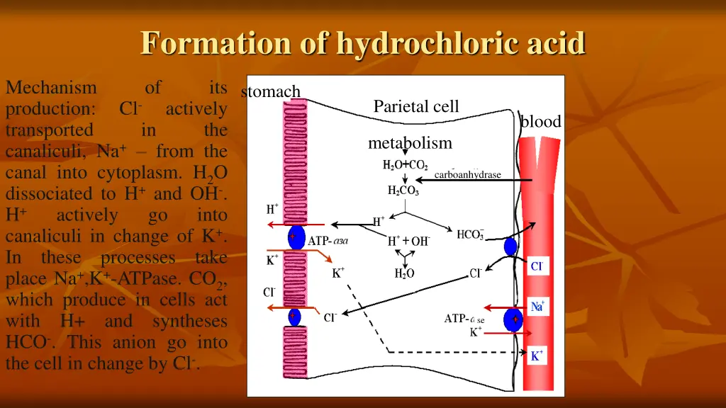 formation of hydrochloric acid