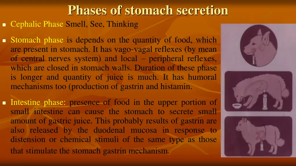 phases of stomach secretion cephalic phase smell