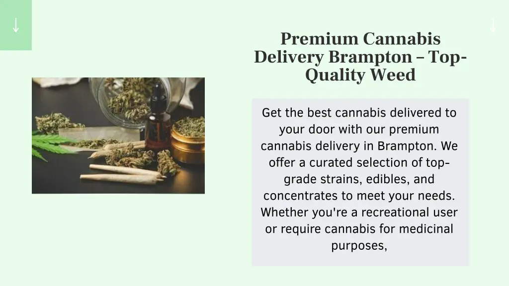 premium cannabis delivery brampton top quality