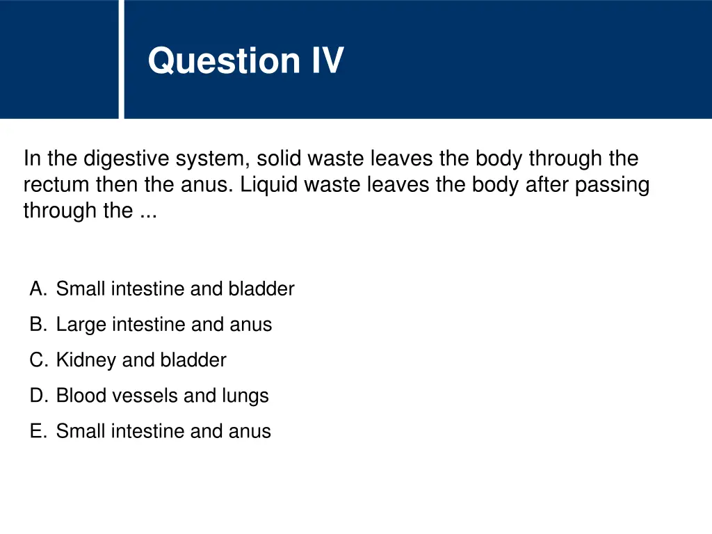 question iv