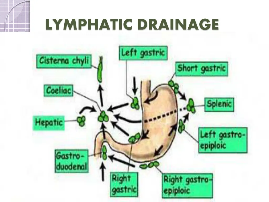 lymphatic drainage