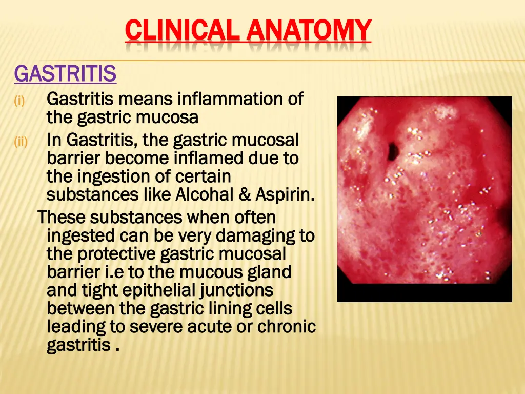 clinical anatomy clinical anatomy