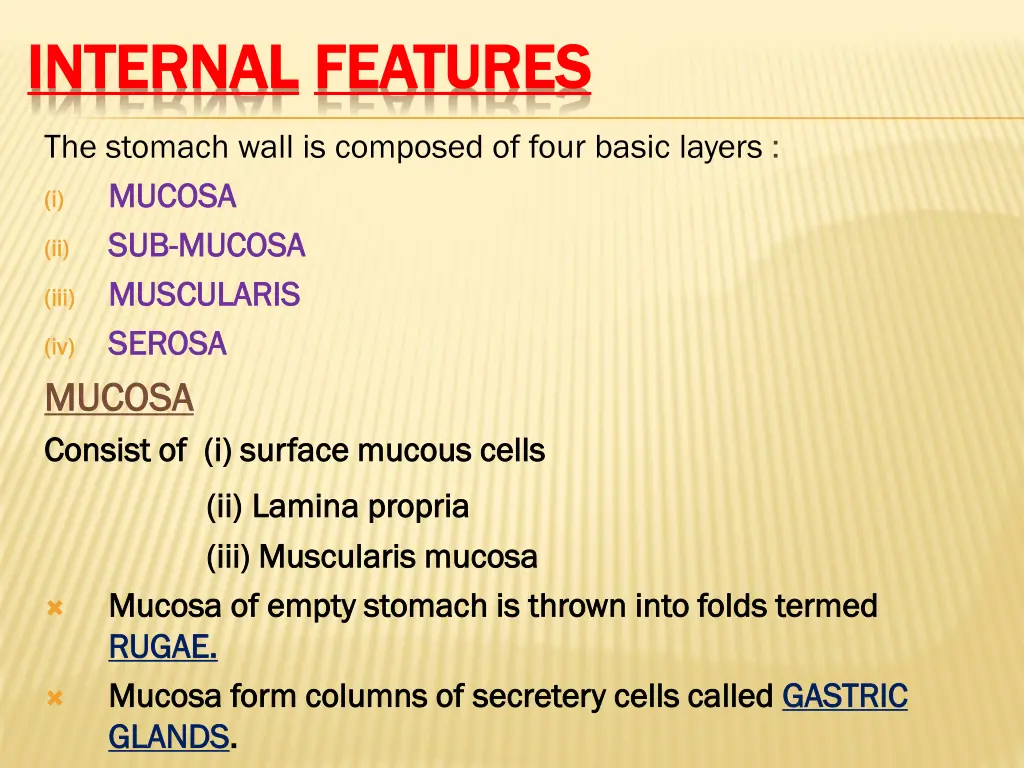 internal internal features