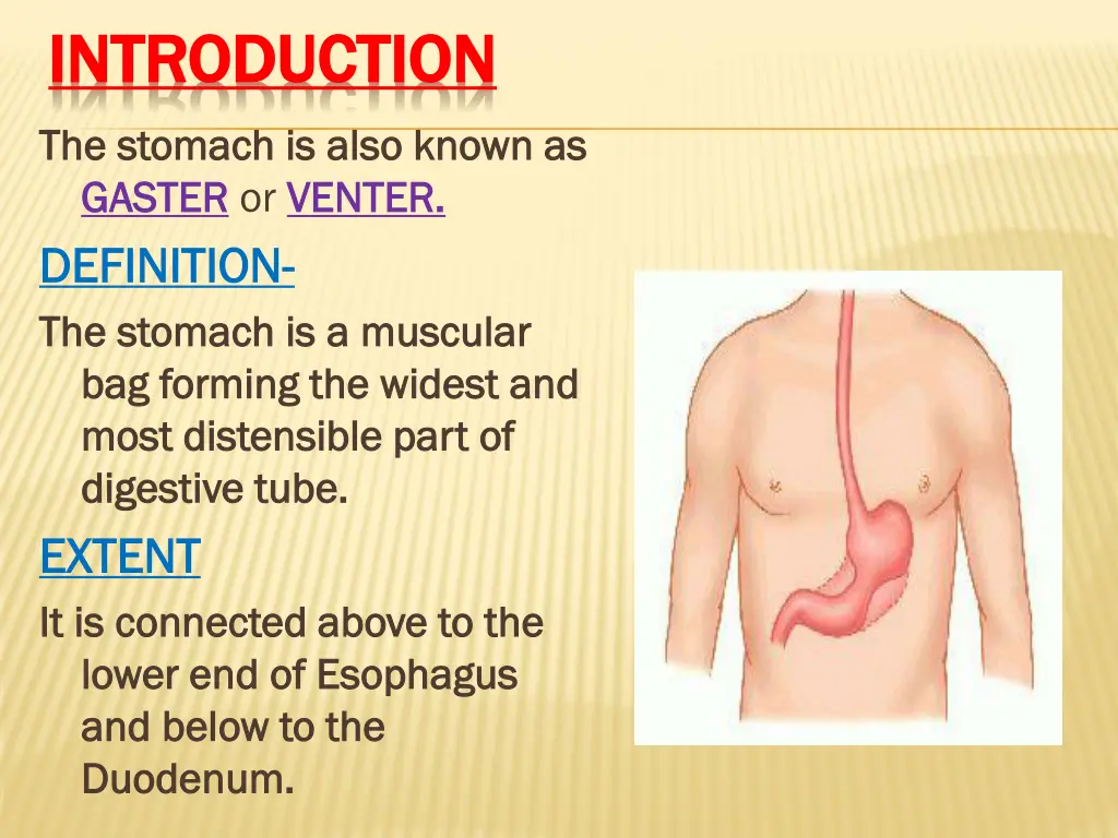 introduction introduction