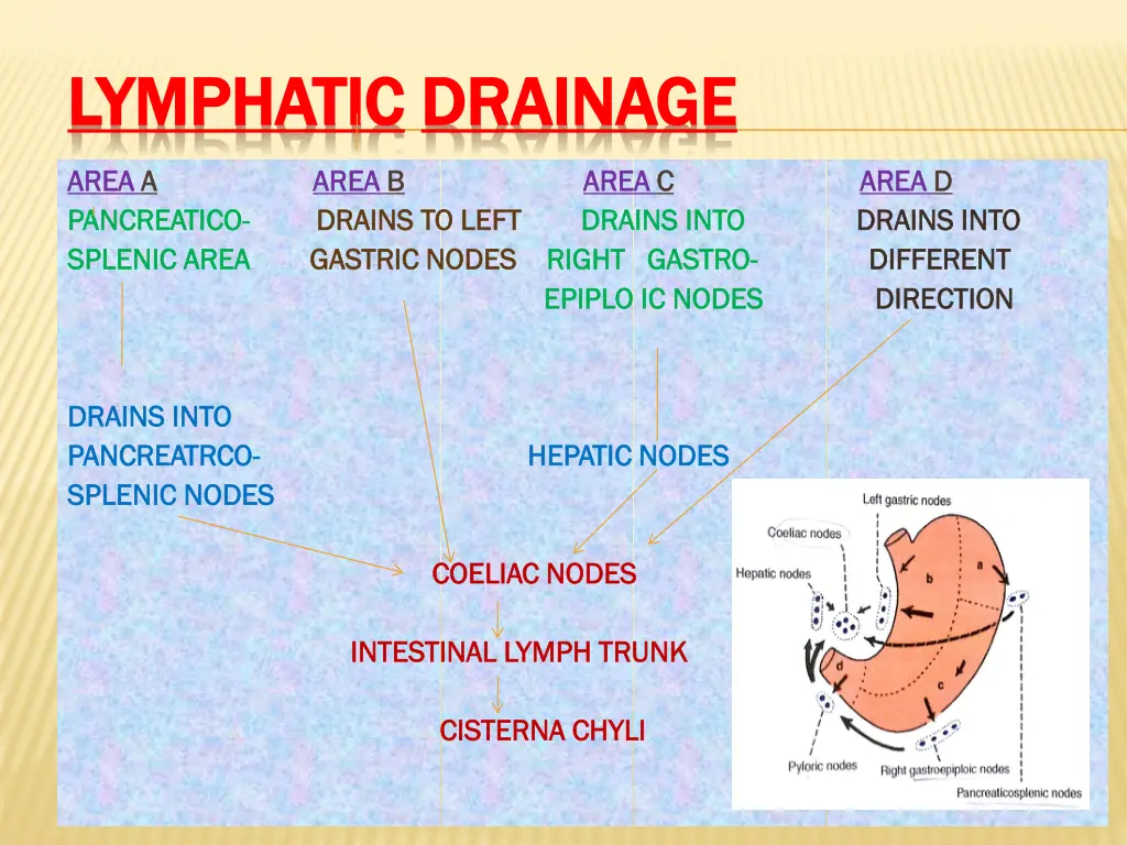 lymphatic lymphatic drainage