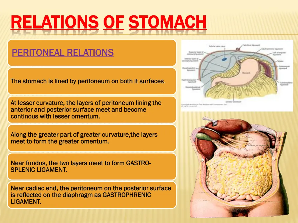 relations relations of