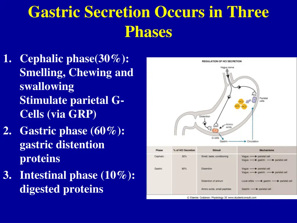 gastric secretion occurs in three phases 1