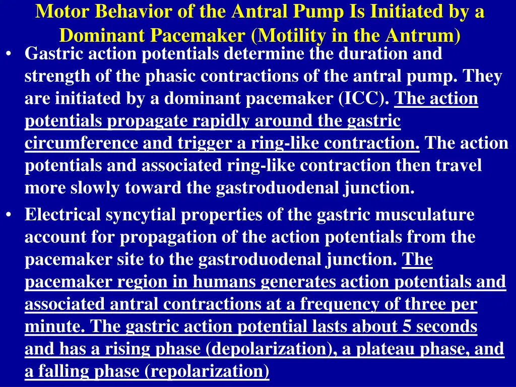 motor behavior of the antral pump is initiated