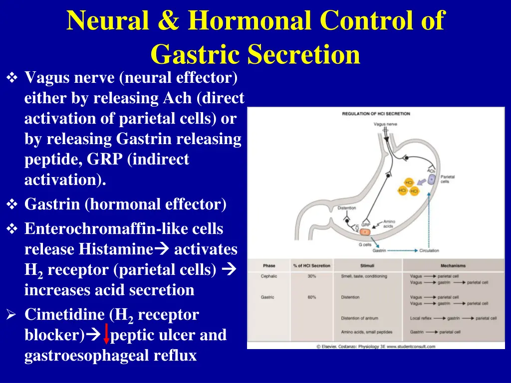 neural hormonal control of gastric secretion