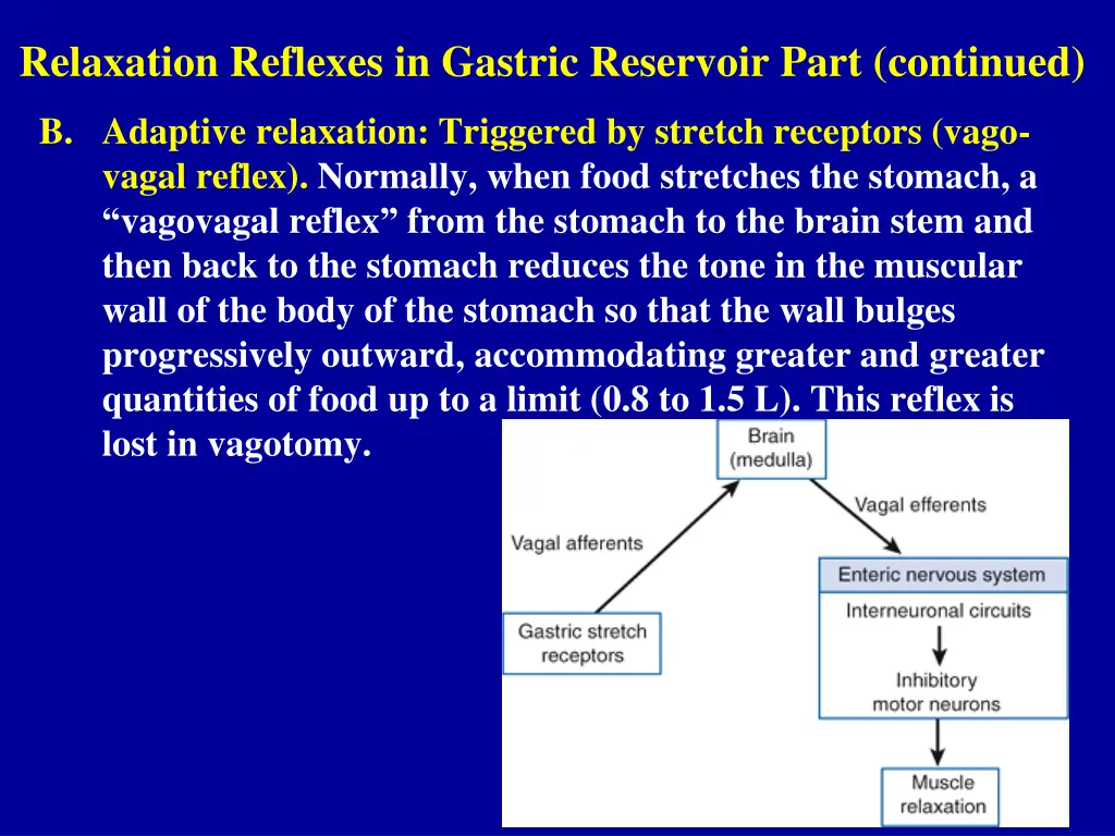 relaxation reflexes in gastric reservoir part 1