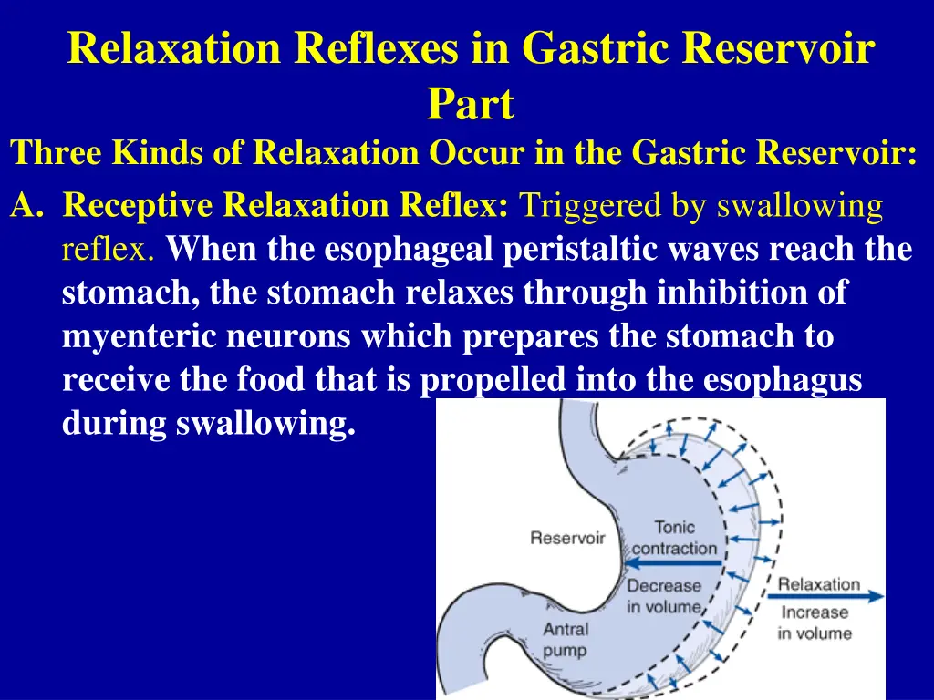 relaxation reflexes in gastric reservoir part