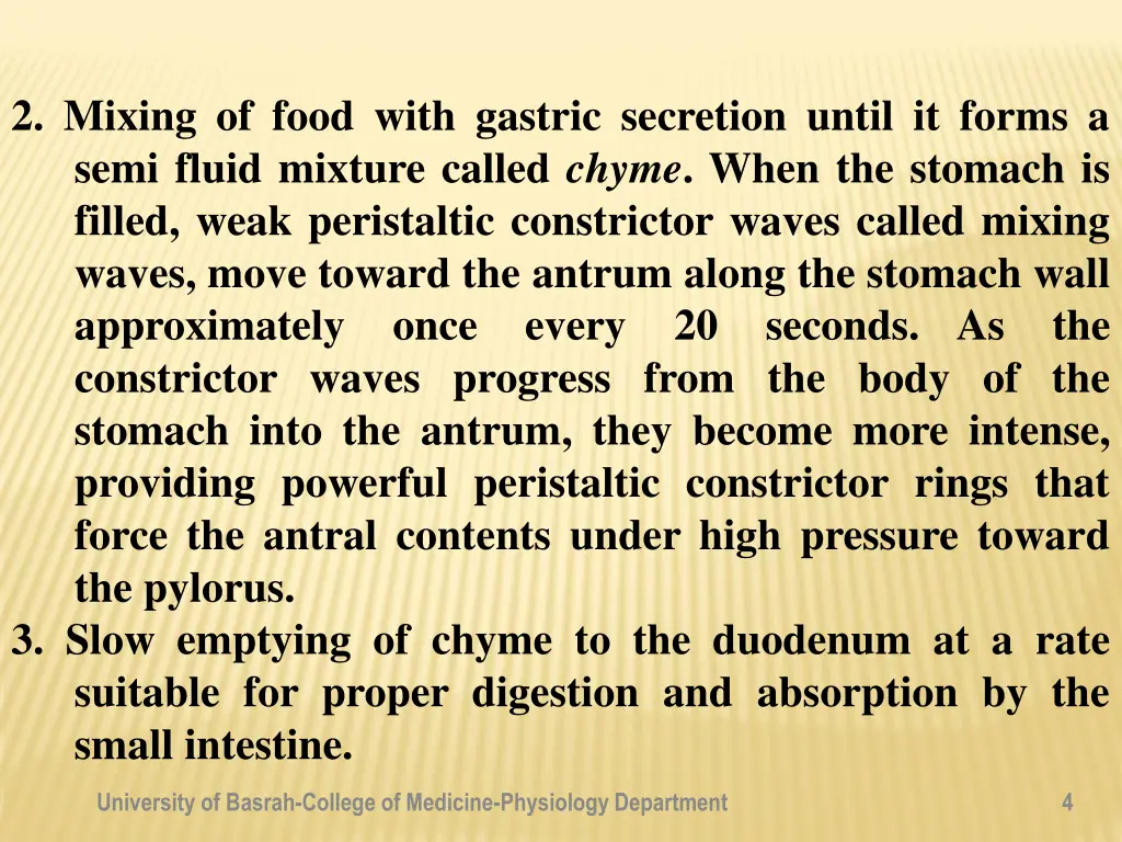 2 mixing of food with gastric secretion until